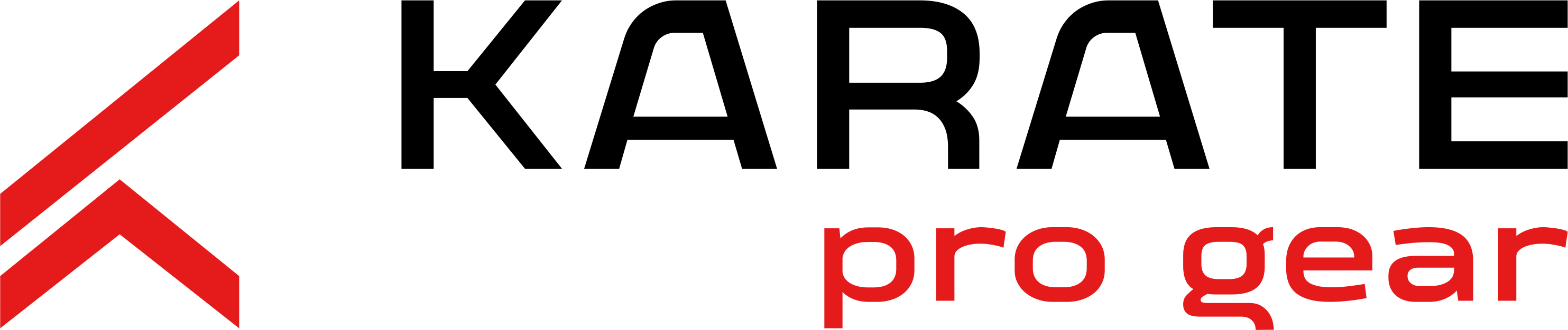 Karate Pro Gear